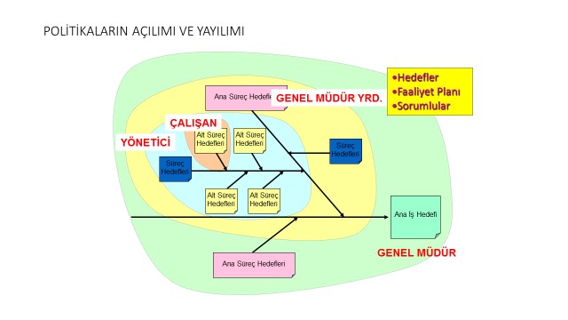 Hoshin Kanri Politikaları